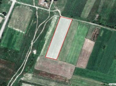 Land for sale in Saguramo