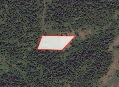 Land for sale in Bakuriani