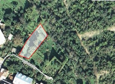 Land for sale in Tskneti