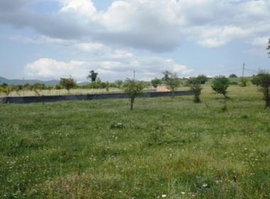 Land for sale in Saguramo