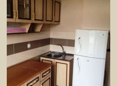 ქირავდება ბინა დიდუბეში