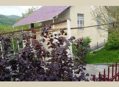 Summer Cottage for rent in Saguramo