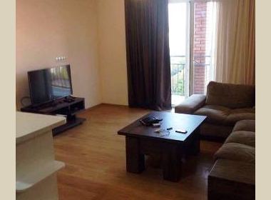 Flat for rent in Saburtalo
