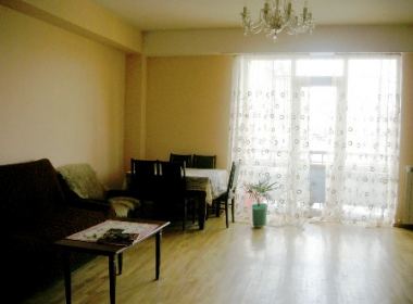 Flat for rent in Vake