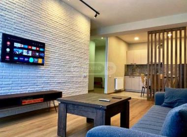 Flat for rent in Krtsanisi