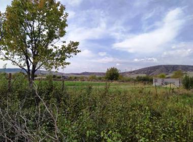 Land for sale in Mtskheta region