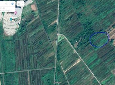 Land for sale in Ozurgeti region