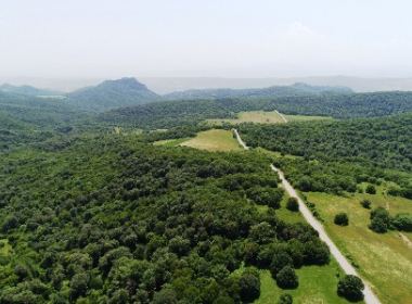 Land for sale in Tetri Tskaro Region