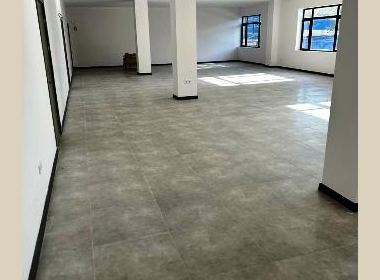 Office space for rent in Didube