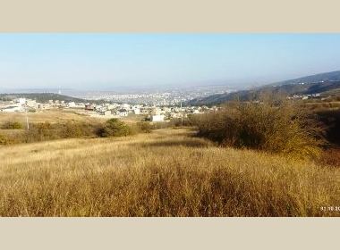 Land for sale in Tsavkisi