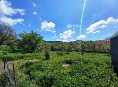 Land for sale in Pantiani