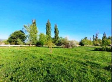 Land for sale in Tsilkani