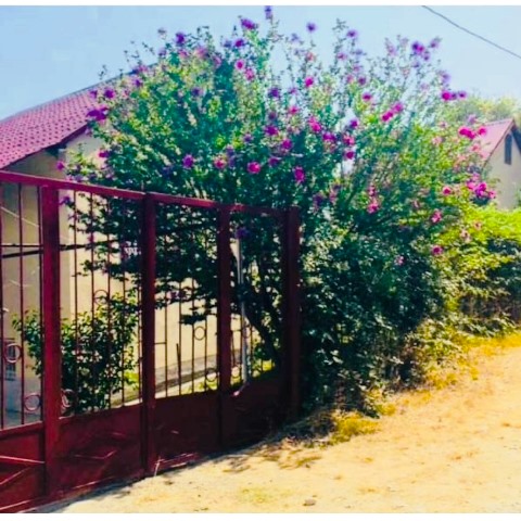Summer Cottage for rent in Saguramo
