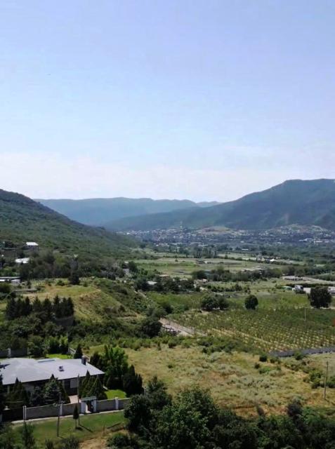 იყიდება მიწის ნაკვეთი საგურამოში