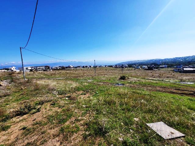 Land for sale in Tsavkisi