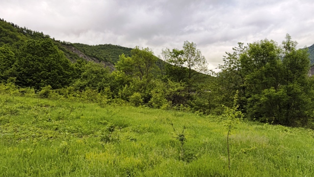 Land for sale in Borjomi