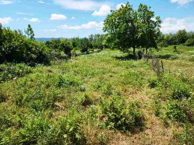 Land for sale in Tsilkani