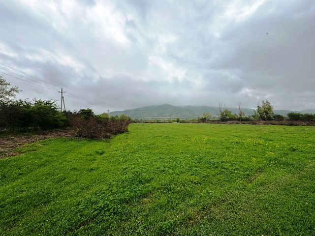 Land for sale in Dusheti region