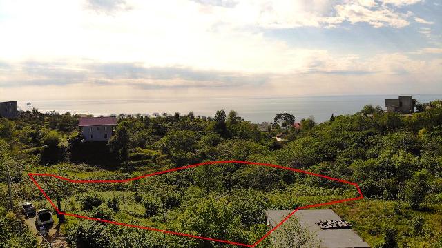 Land for sale in Chakvi
