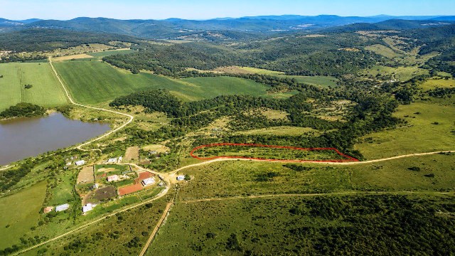 Land for sale in Tetri Tskaro region