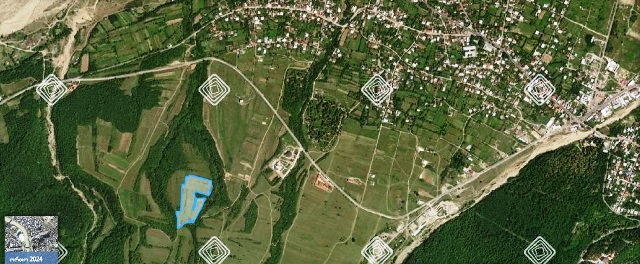 Land for sale in Telavi region