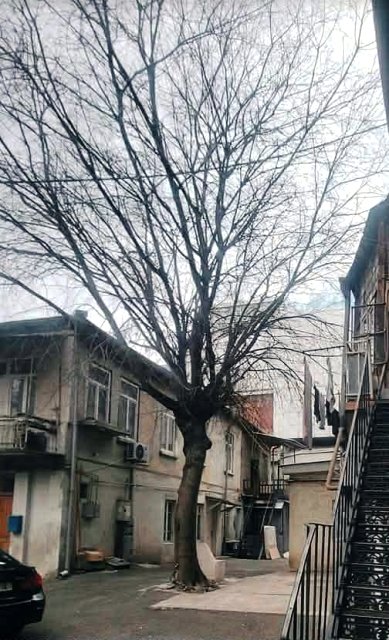 იყიდება ბინა სოლოლაკში