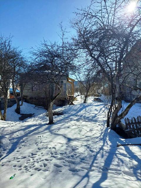 იყიდება მიწის ნაკვეთი ბაკურიანში