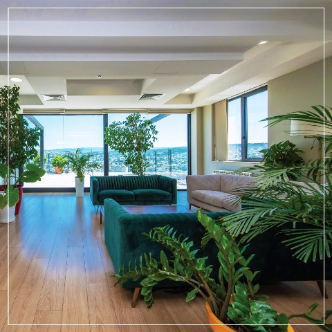 იყიდება ბიზნეს-ცენტრი ვერაზე