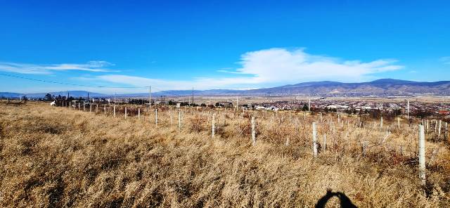 იყიდება მიწის ნაკვეთი წეროვანში