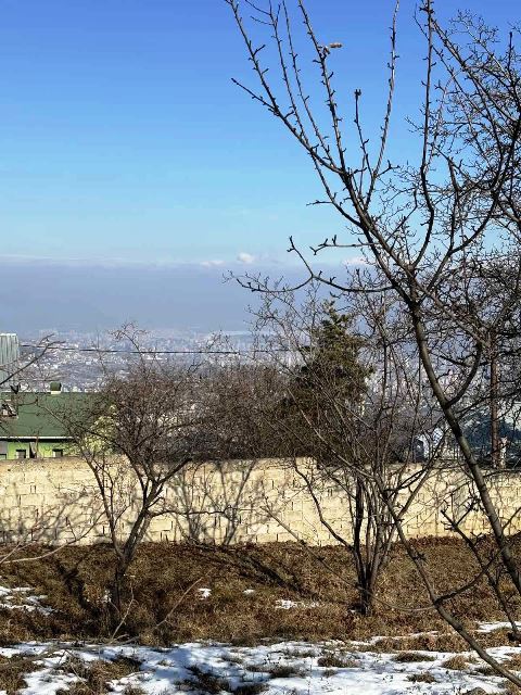 იყიდება მიწის ნაკვეთი წყნეთში