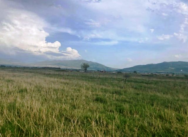 Land for sale in Tsilkani