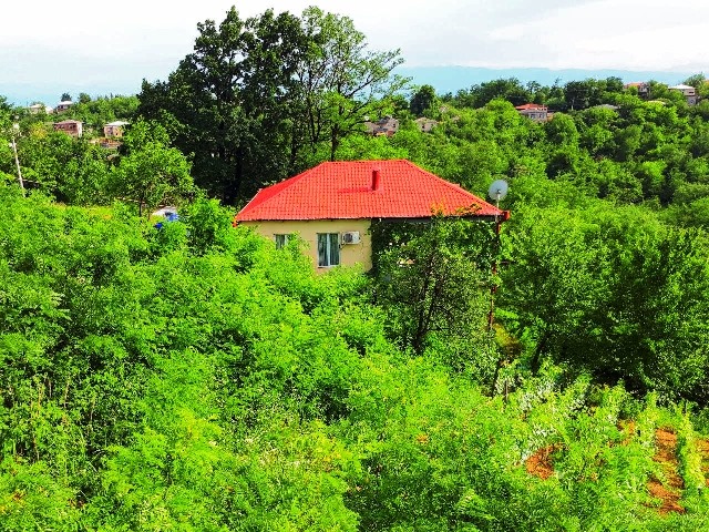 Сдается дом в Кутаиси