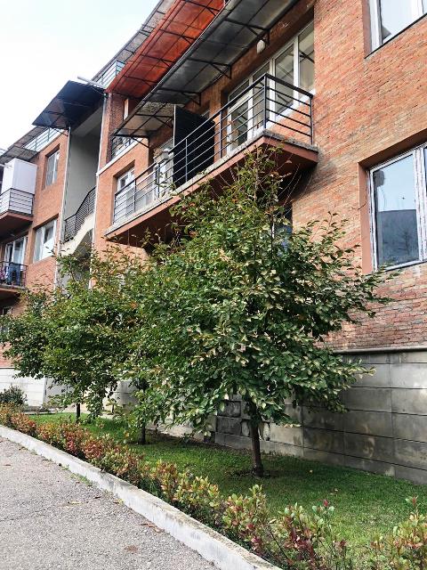 ქირავდება ბინა ბაგებში