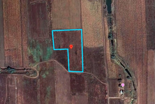 იყიდება მიწის ნაკვეთი თიანეთის რაიონში