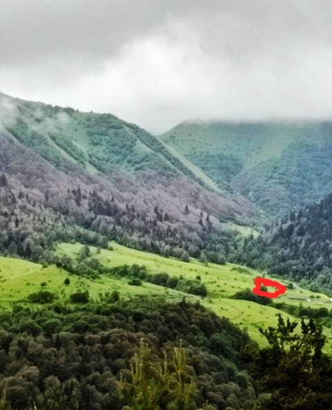 იყიდება მიწის ნაკვეთი გორის რაიონში