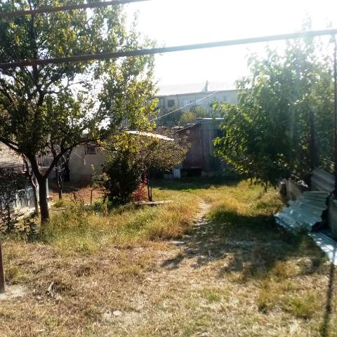 იყიდება სახლი ლილოში