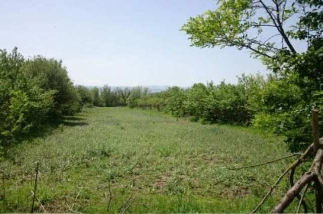 Land for sale in Mtskheta region