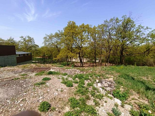 Land for sale in Saguramo