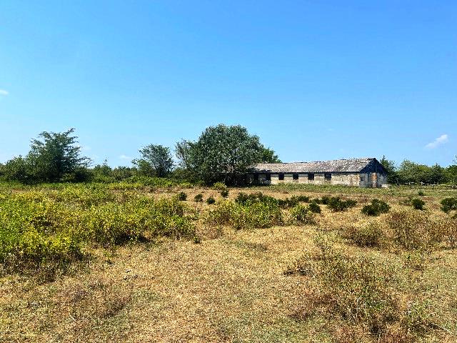 იყიდება მიწის ნაკვეთი ხონის რაიონში