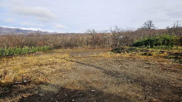 Land for sale in Tetri Tskaro region