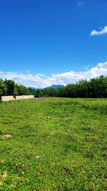 იყიდება მიწის ნაკვეთი ჩოხატარურში