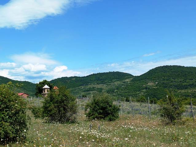 იყიდება მიწის ნაკვეთი დუშეთის რაიონში