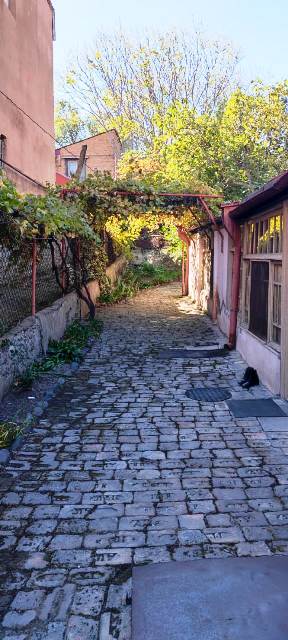 იყიდება მიწის ნაკვეთი ავლაბარში