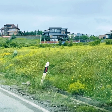 Land for sale in Shindisi