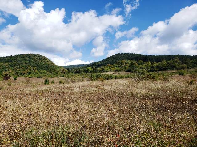 იყიდება მიწის ნაკვეთი მცხეთის რაიონში